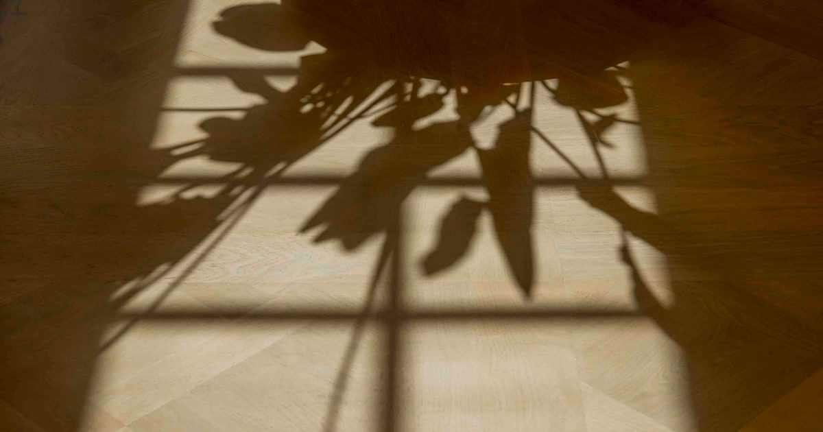 Winton Winton donates prediction market